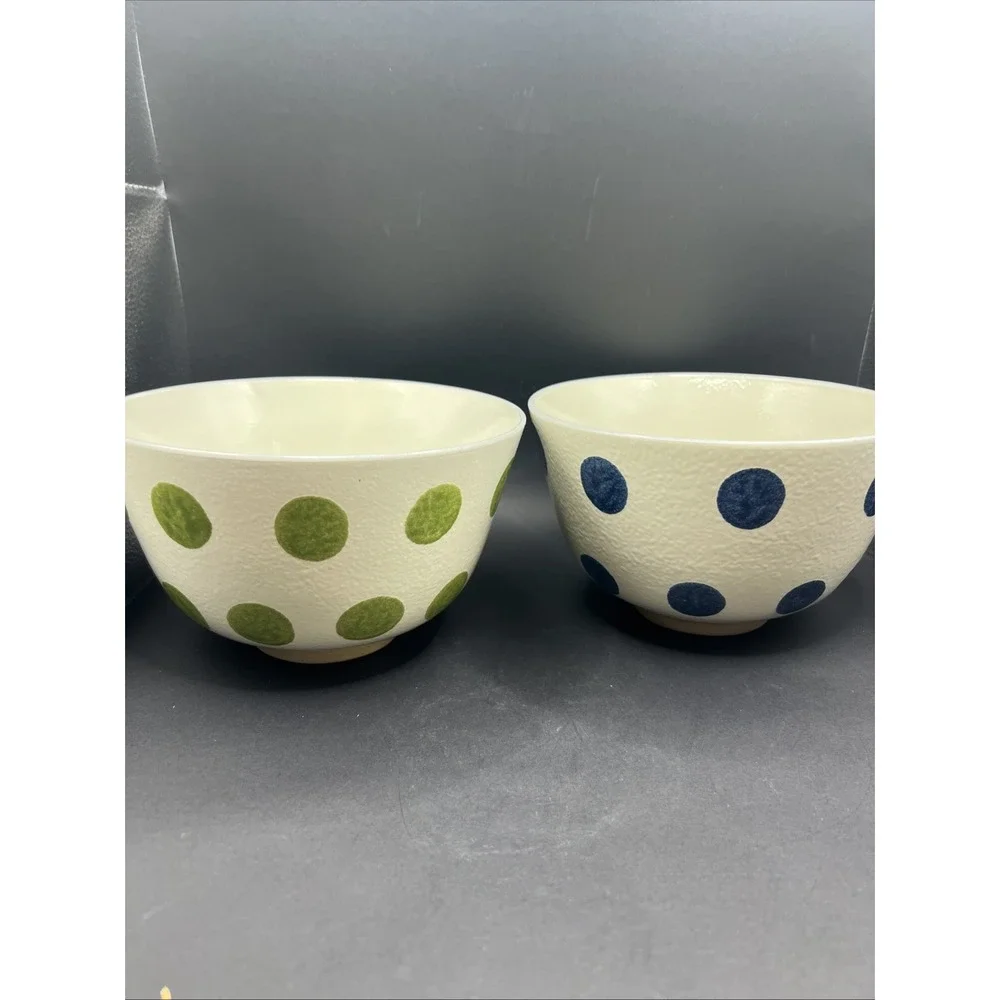 2pc Set World Market Ceramic Noodle Bowl Polka Dot Blue & Green